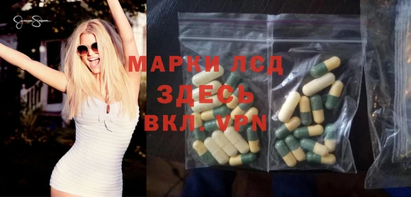 гидра Арсеньев