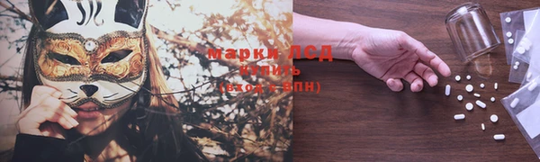 гидра Арсеньев