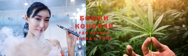 гидра Арсеньев