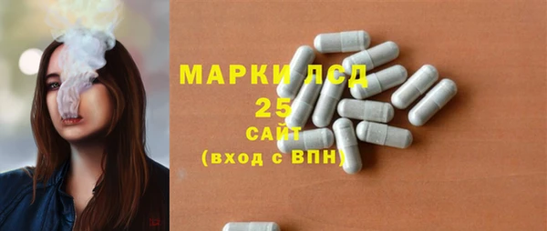 ГАЛЛЮЦИНОГЕННЫЕ ГРИБЫ Баксан