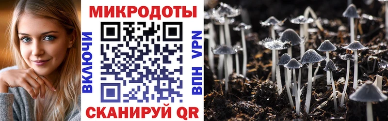Псилоцибиновые грибы прущие грибы Кологрив